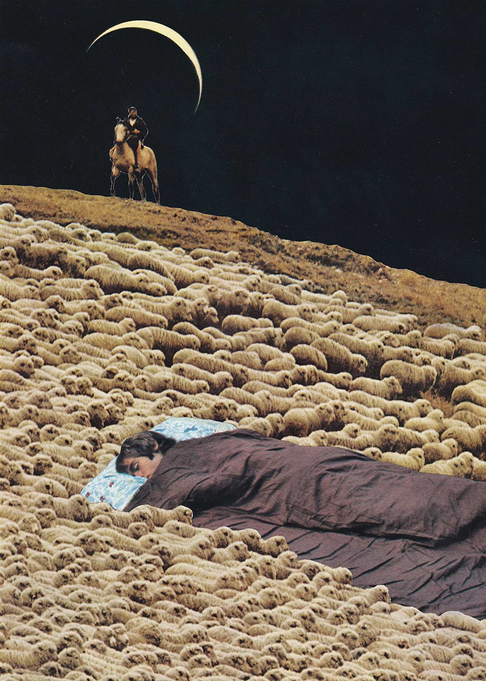 Counting Sheep [collage]