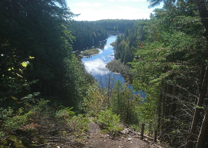 Trail with a view