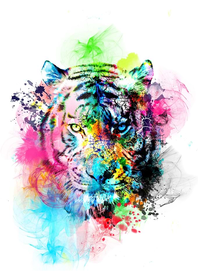 colorfrul tiger