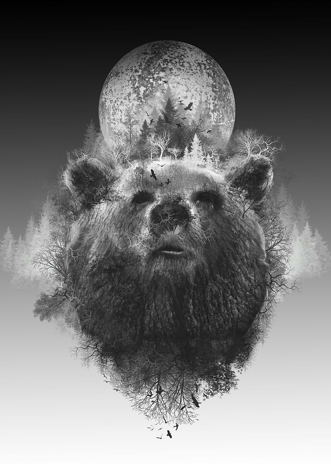 forest bear