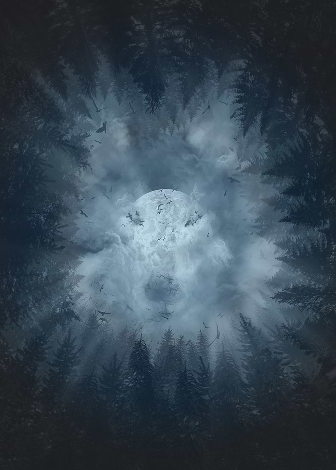 forest wolf