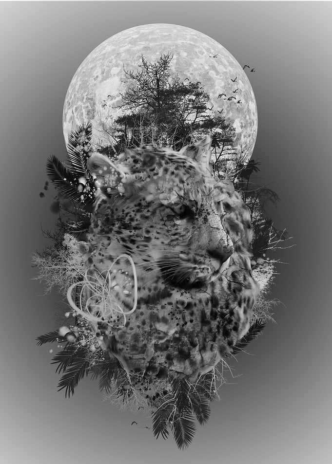 forest leopard