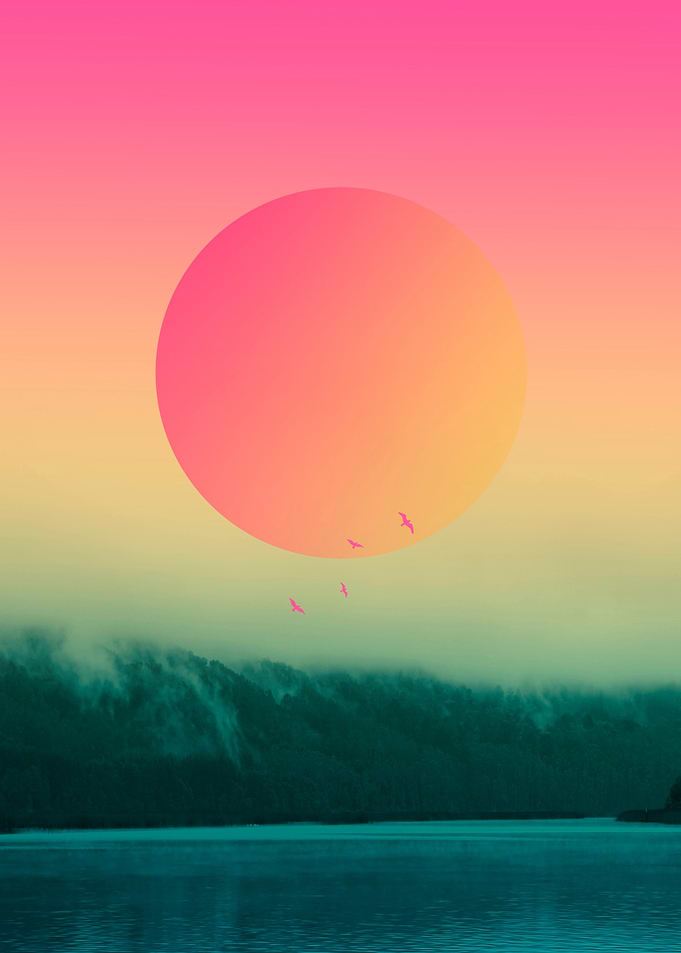 Landscape & gradients