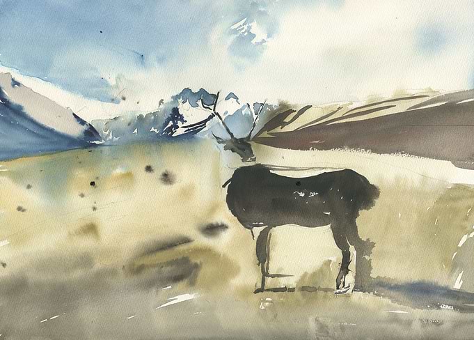 Caribou