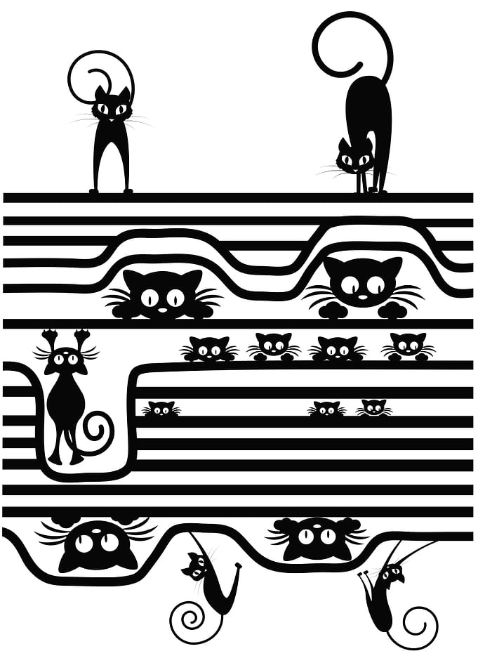 Stupid cats...