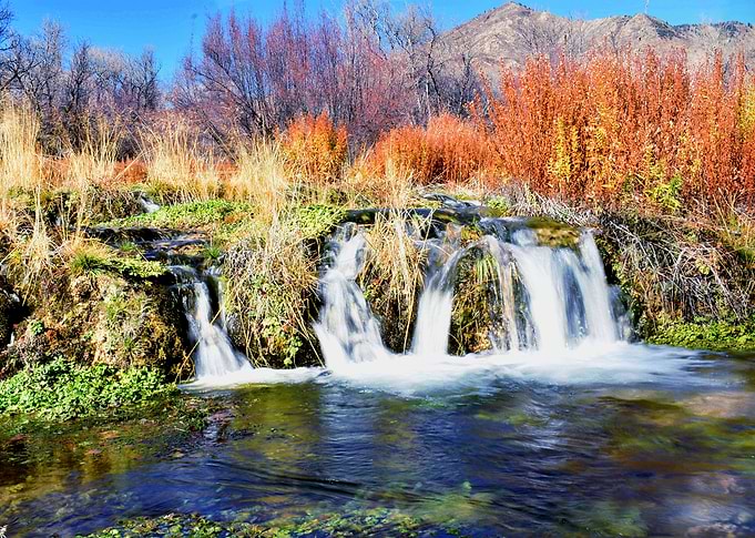 Utah's Spring