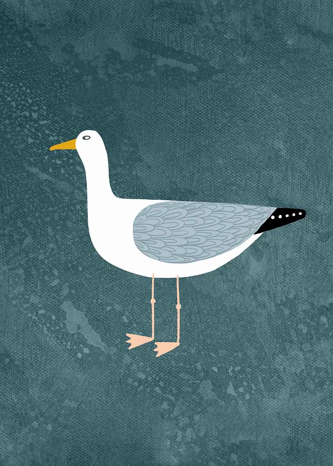 Seagull Standing