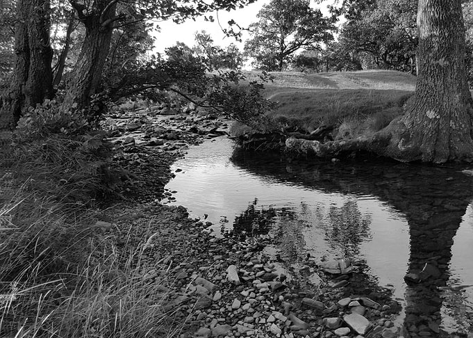 Nant Cwm Llwch