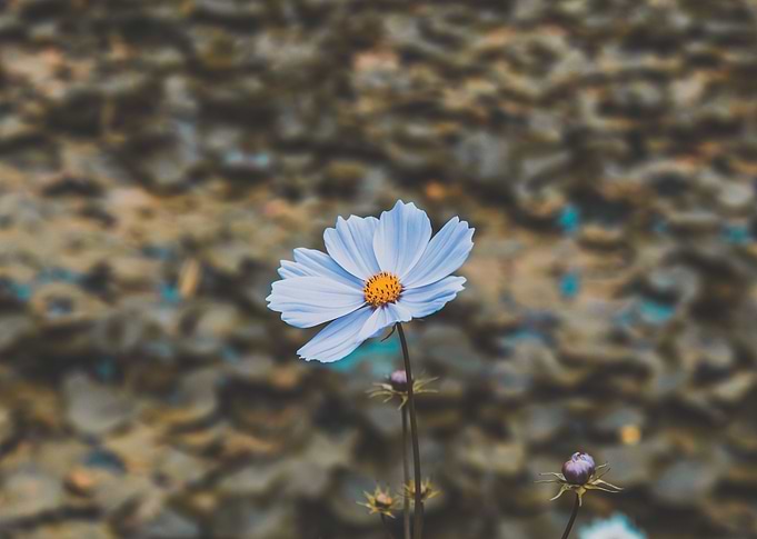 Stand Alone