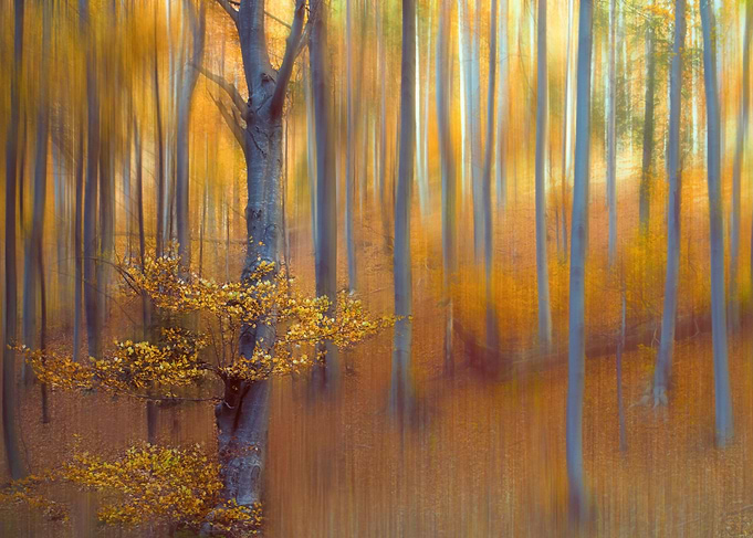Yellow paint