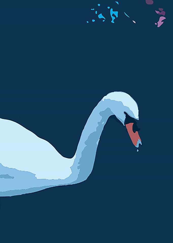 Swan Composition