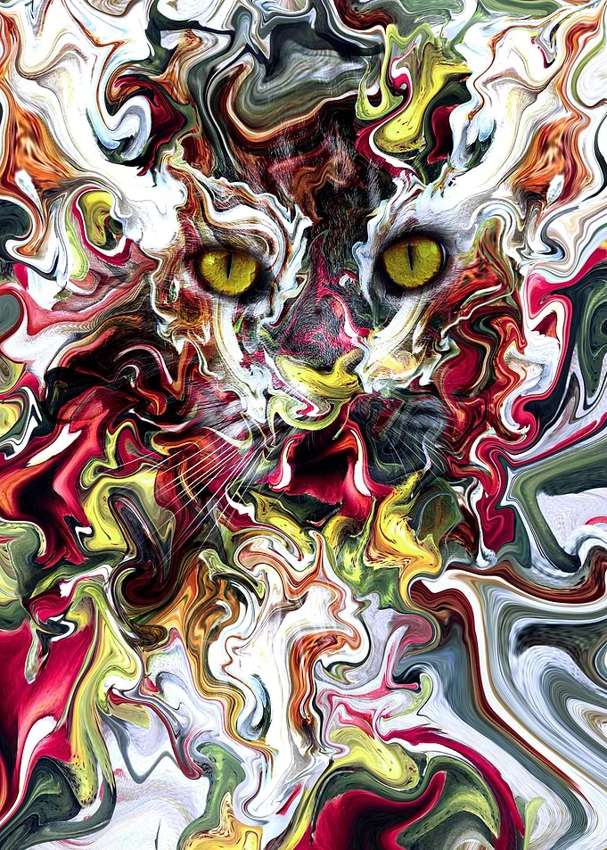Wildcat