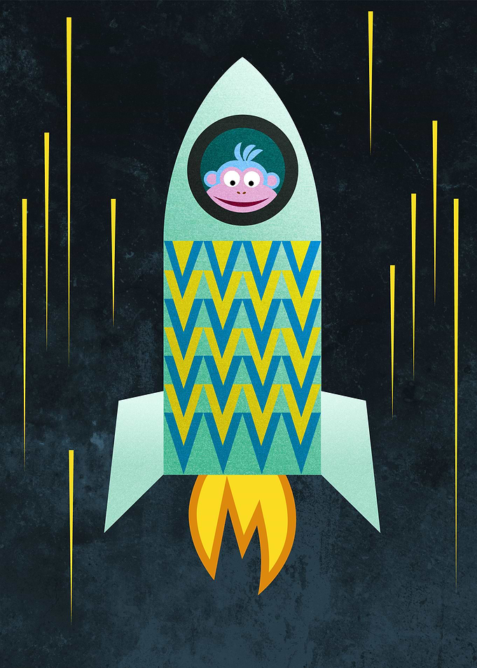 Space Monkey