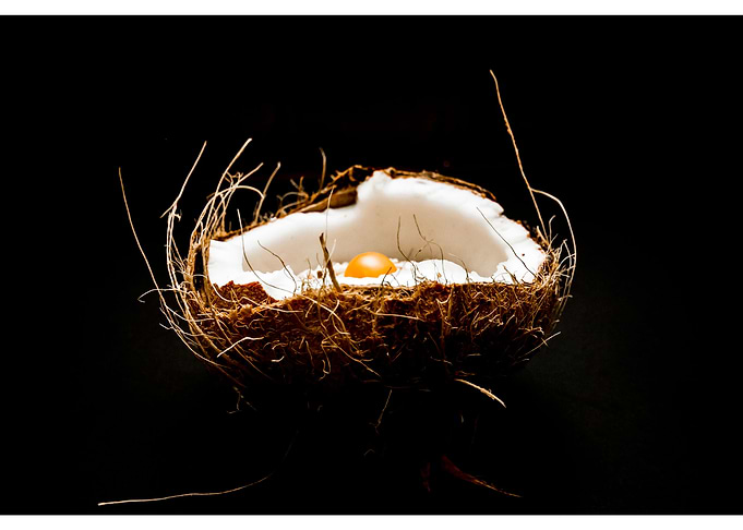 No fried eggs