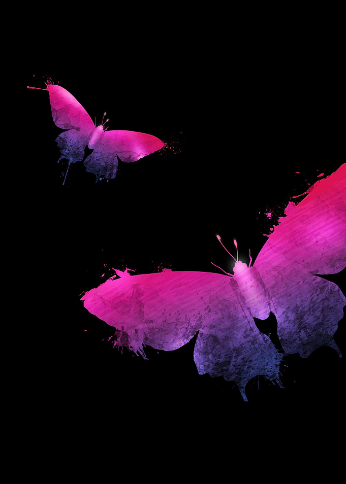 Butterflies Collection • 1