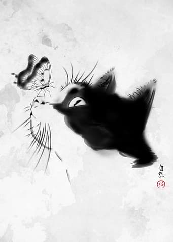 Curious Cat