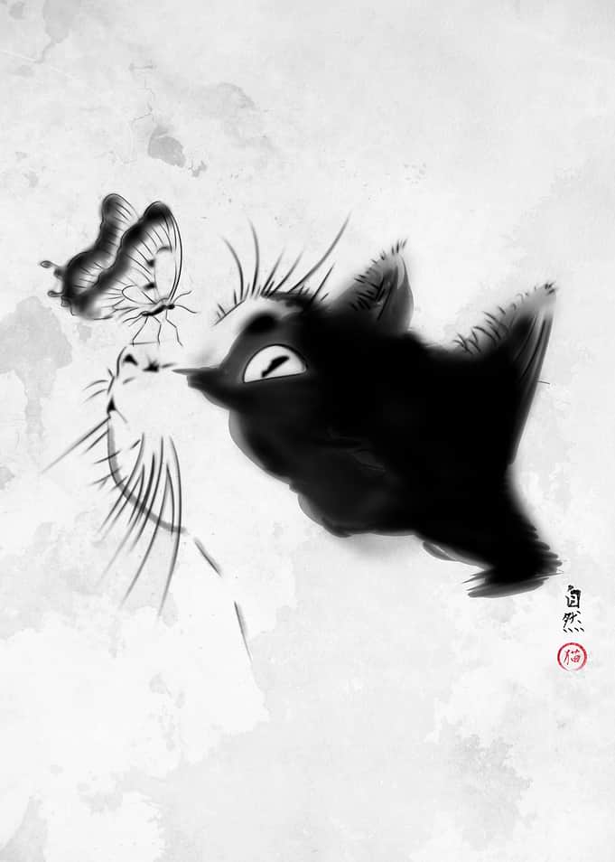 Curious Cat