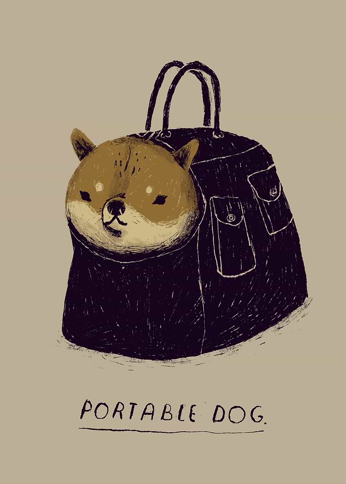 portable dog