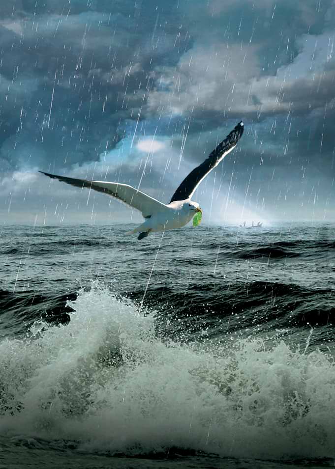 Bird of Hope I