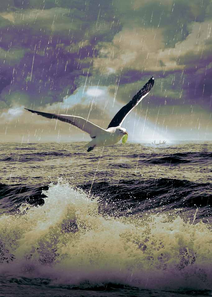 Bird of Hope III