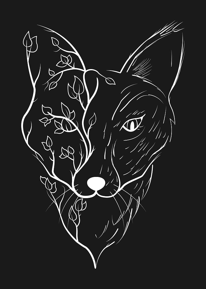 Fox and Nature