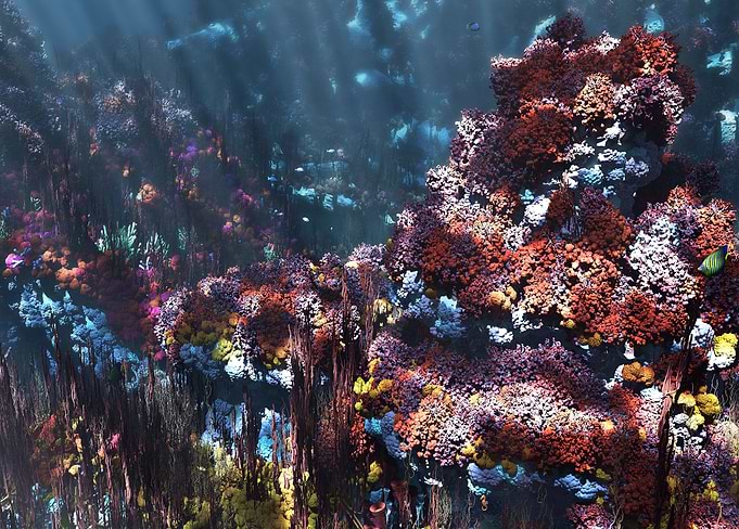 Symbiota