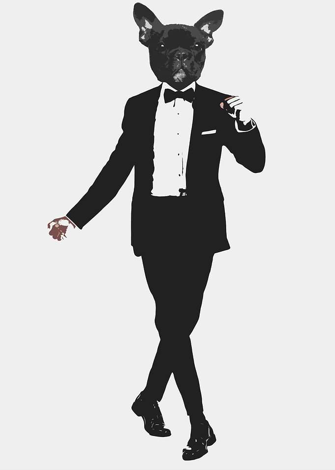Frenchie in Tuxedo