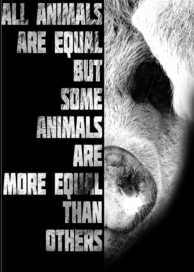 Animal Farm