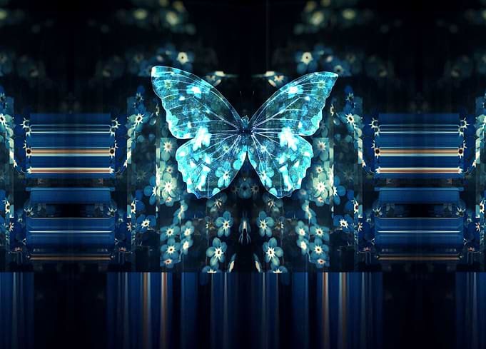 Butterfly Glitch