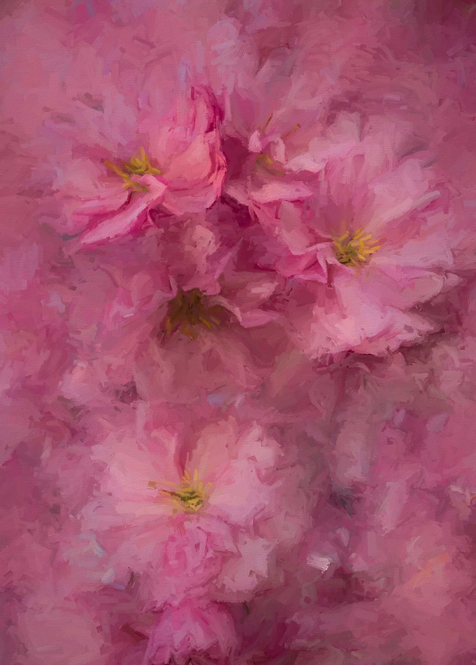 Pink flower painting