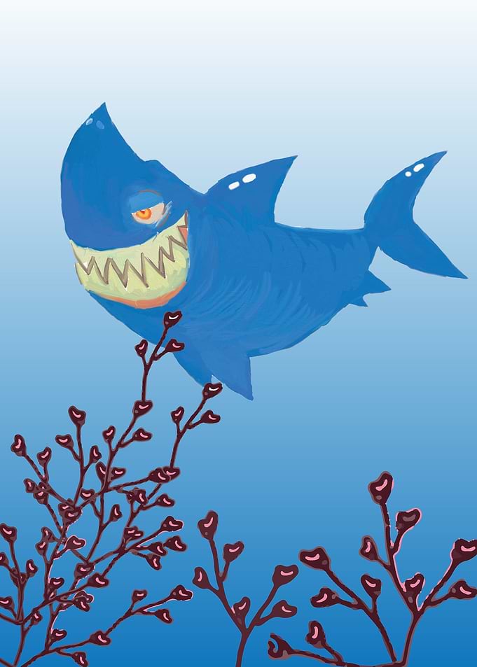 Shark