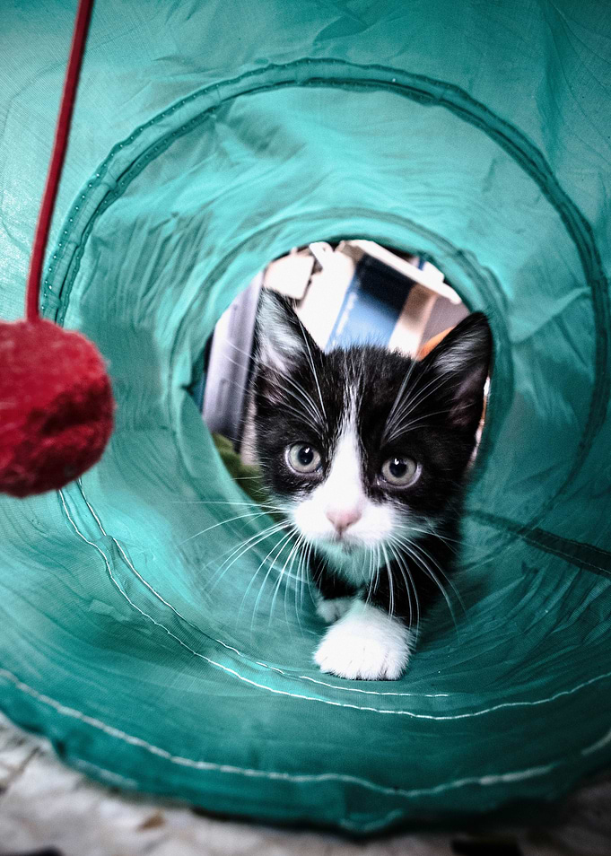 catching the ball