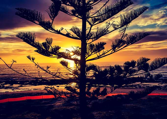 Watching the sun rise.