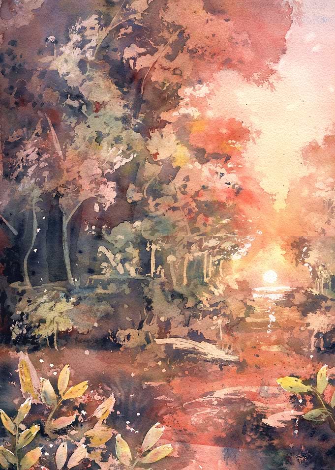 Sunset in the Forest