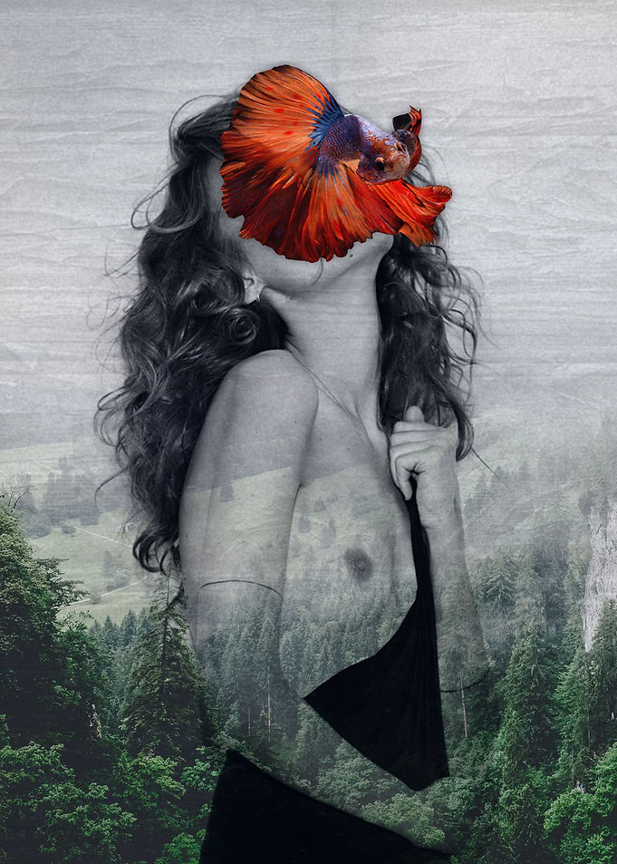 Fish Fairy