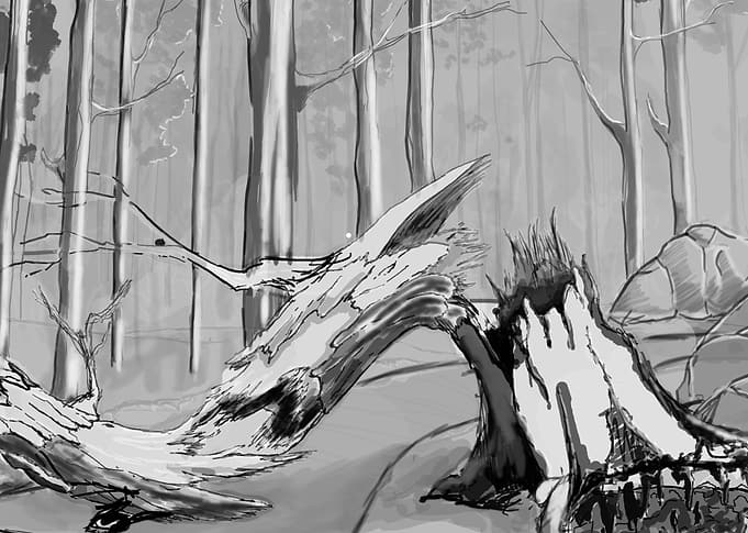 Fallen Tree