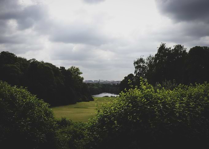 Landscape view at the Royal Greenhouse of Brussels