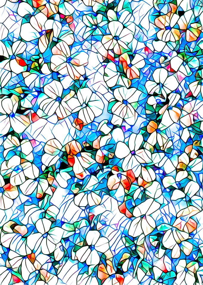 Stained glass 7 - flowers