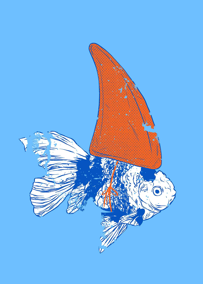 Big fish in a small pond
