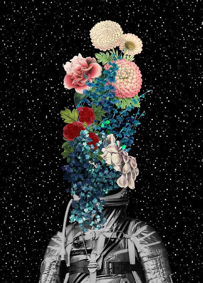 Flower Boom