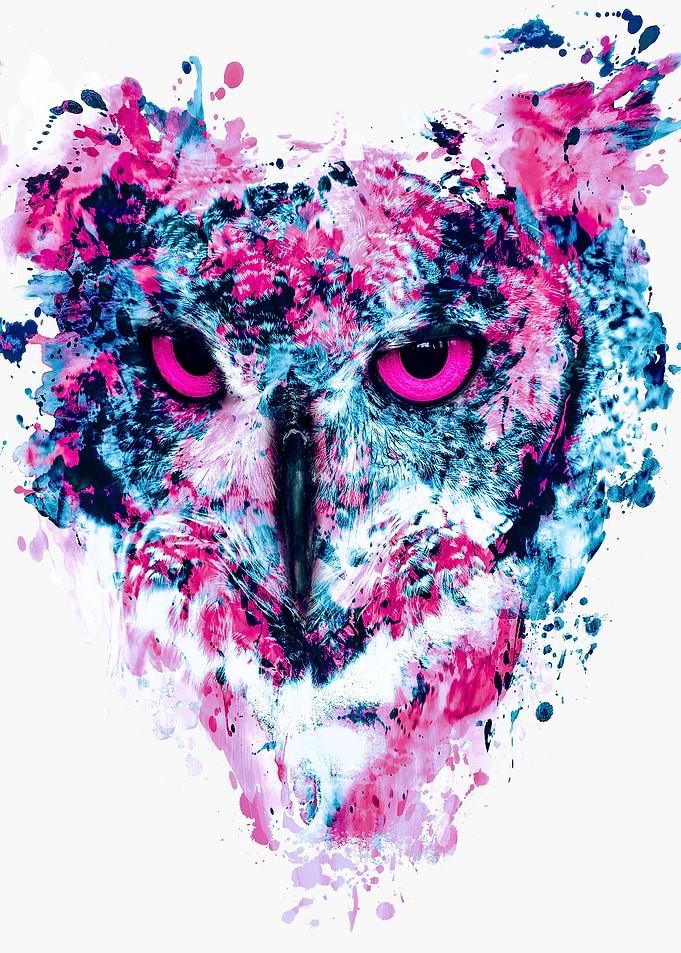 Owl IV
