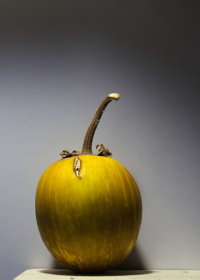 Amazing Eggplant