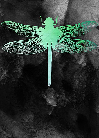 DragonFly Animal Watercolor Artwork