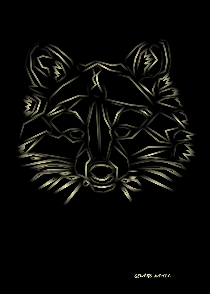 RACCOON