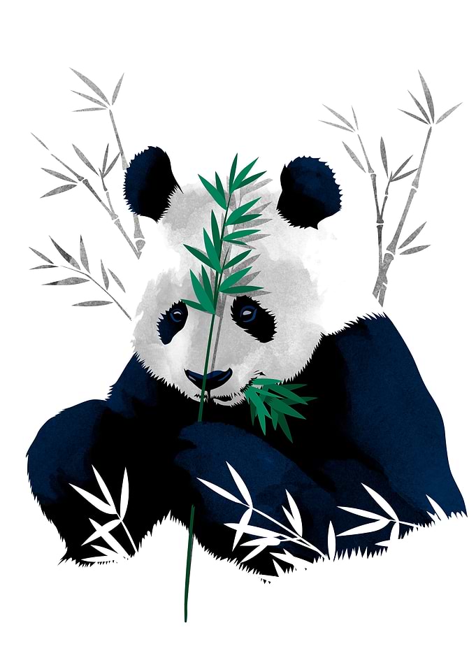 Panda Bamboo
