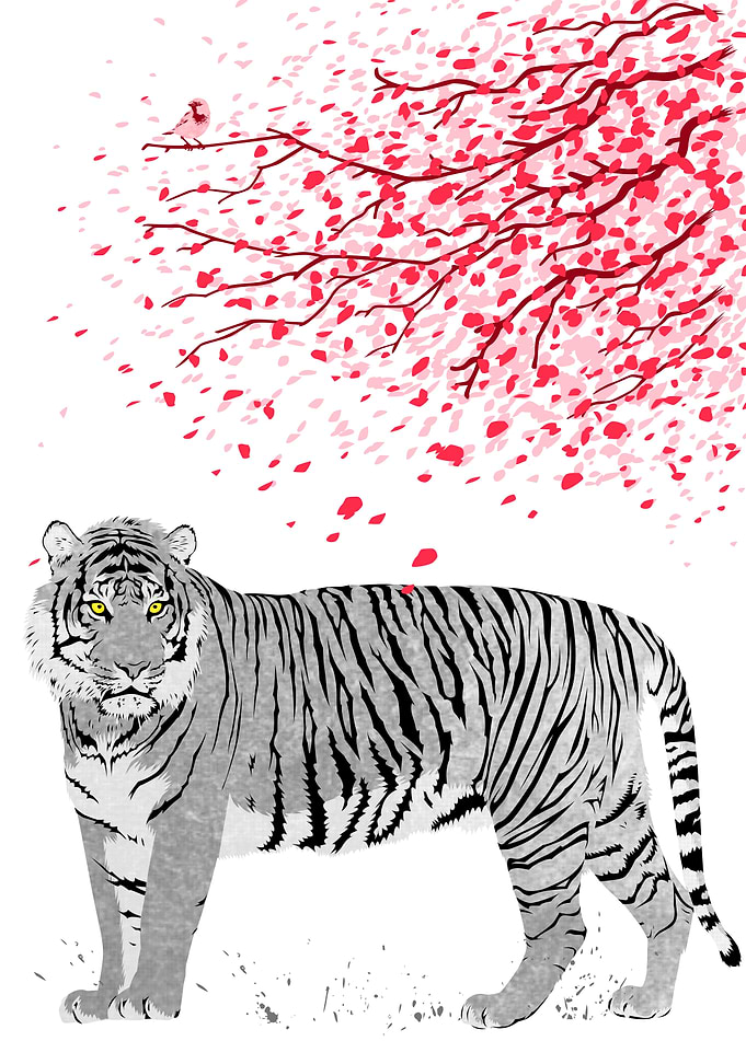 Cherry tree Tiger