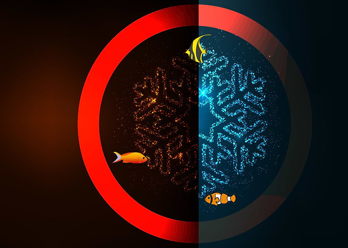 red circle and fish