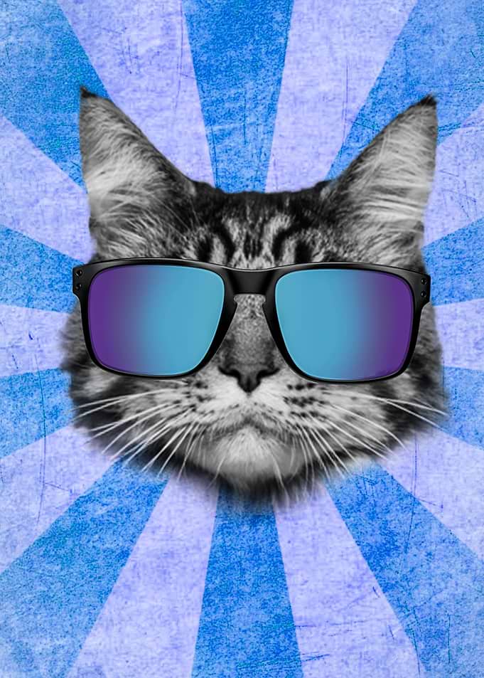 Cat and Glasses 2