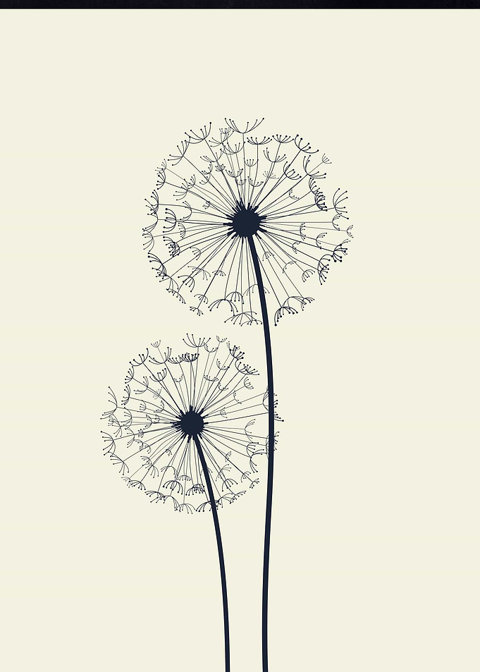 Dandelion