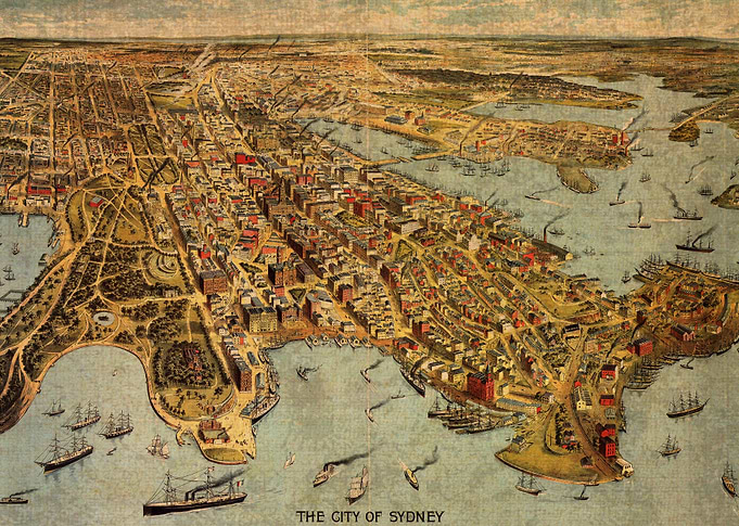 Map of Sydney Australia Vintage 1888